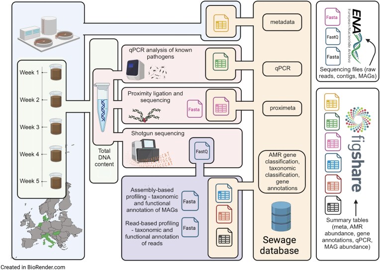 Sewage metagenomics overview
